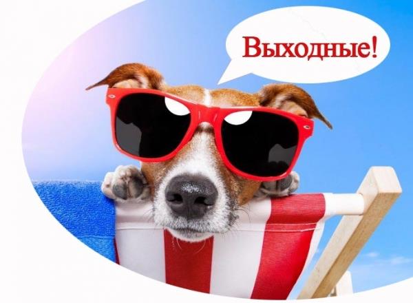 8 ноября ВЫХОДНОЙ